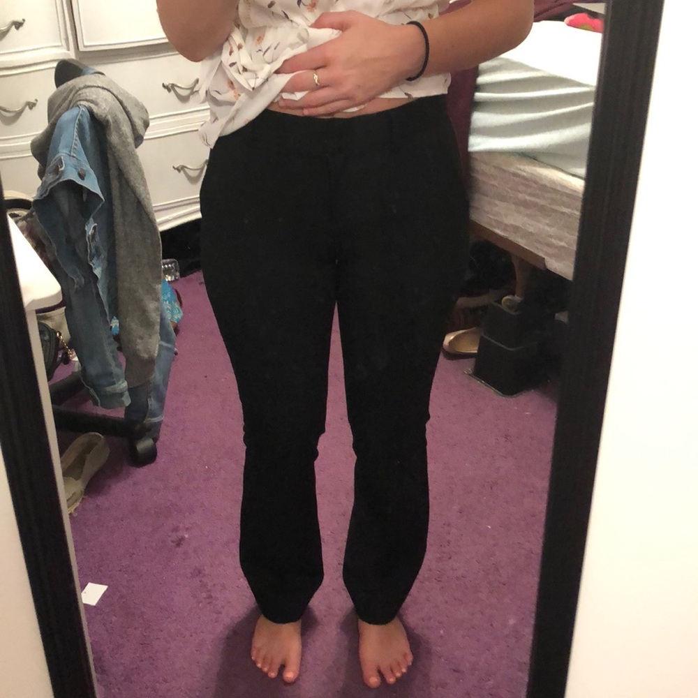 Express dress pants